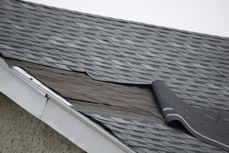 Shingle Repair Professional